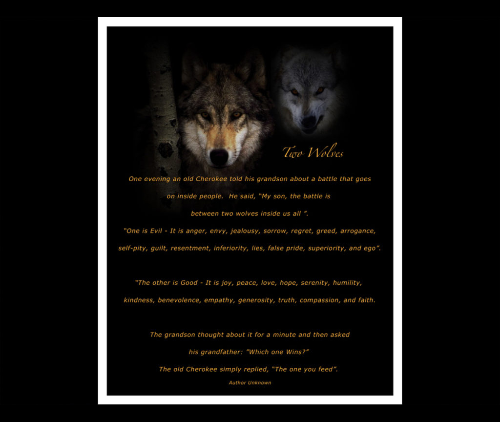 Two Wolves – Truth and Inspiration